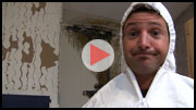 Click Here to Watch - Killing Toxic Black Mold - How to Safely Remove Mold